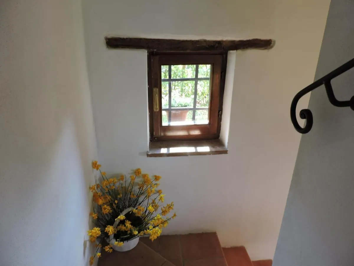 Villa Bellavista Celle sul Rigo